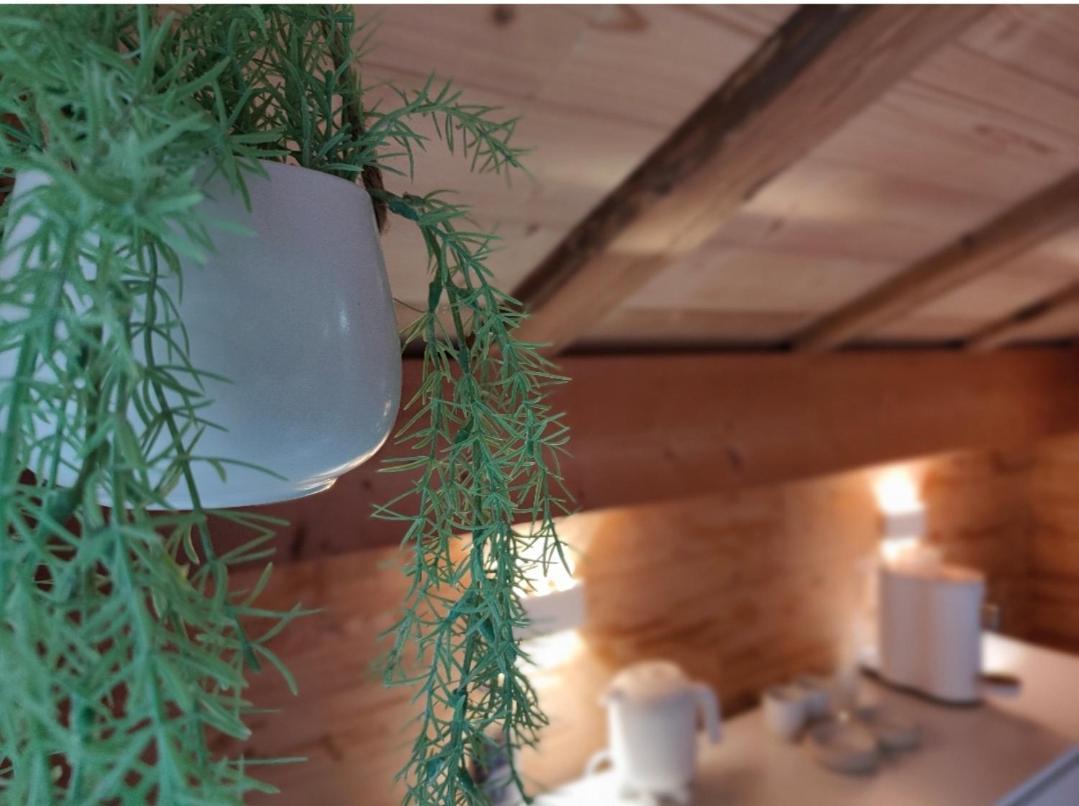 Chambre Boille A Lait Entremont Buitenkant foto